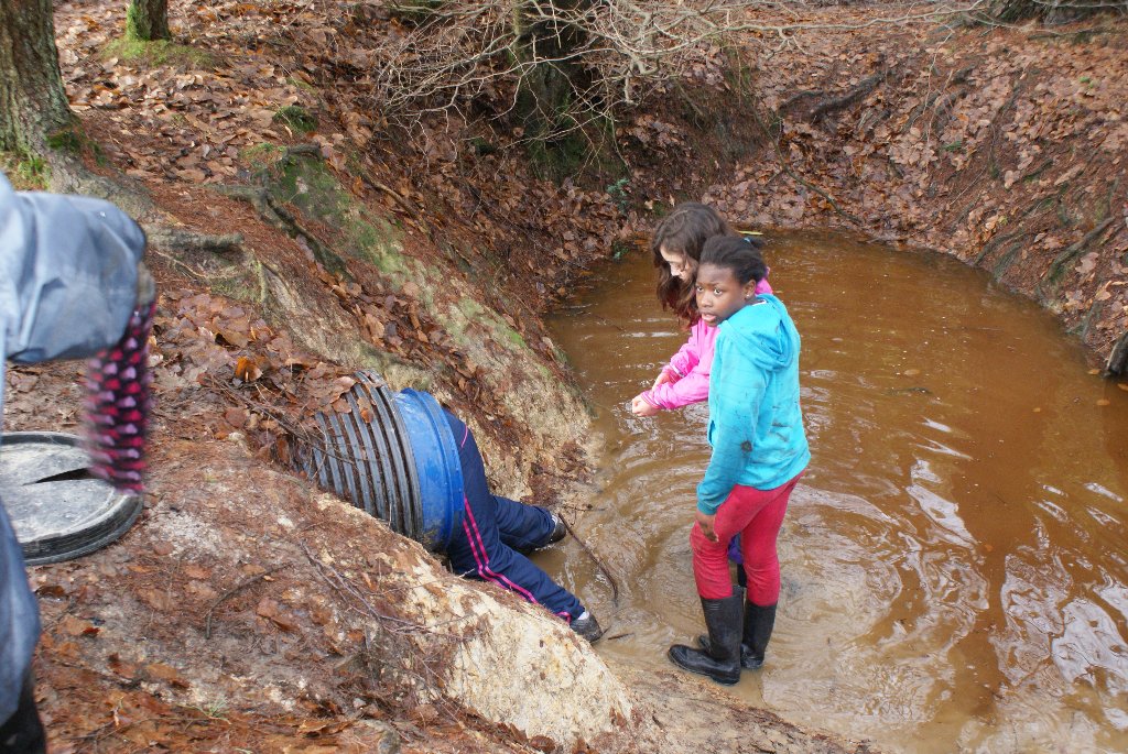 006 DSC00785 1024x685